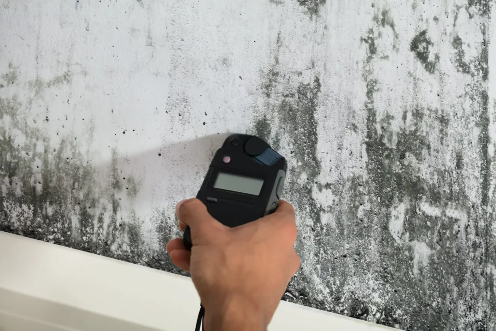 Moisture meter measuring dampness on a mouldy wall