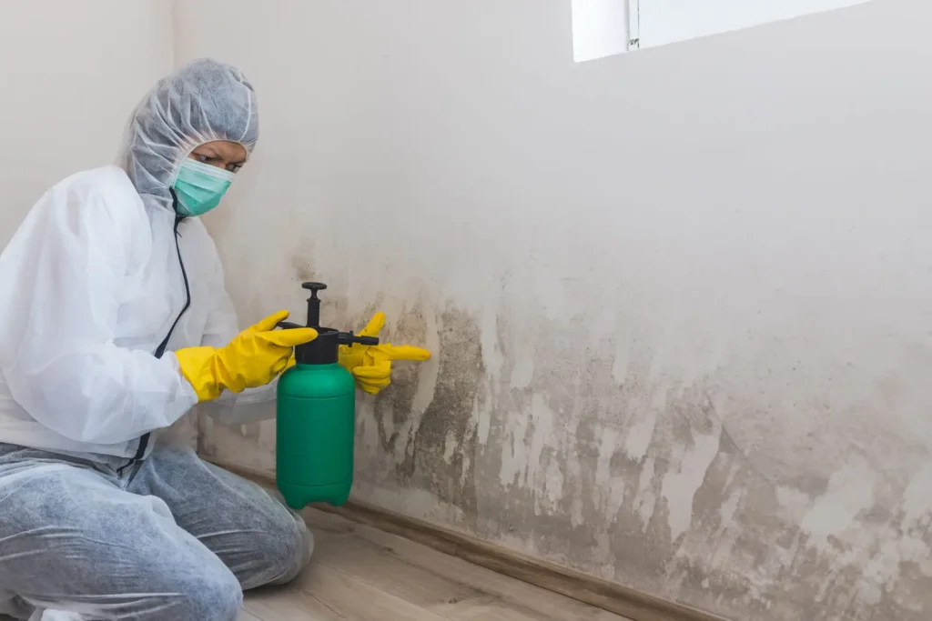 Worker in protective gear treating mould on a wall